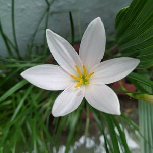 Meet your Posher, Rupali